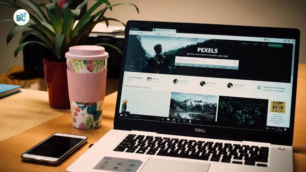 Website Design Service in Chakdaha